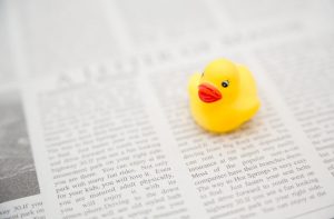 英字新聞とアヒル